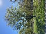 Foto img_2428_1782934592.jpeg