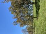 Foto img_2441_1786559200.jpeg