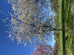 Foto img_2481_1786475189.jpeg