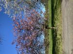 Foto img_2484_1786558274.jpeg