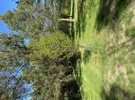 Foto img_2507_1784792937.jpeg