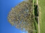 Foto img_2566_1786475071.jpeg