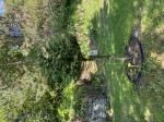 Foto img_2615_1787221848.jpeg
