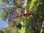 Foto img_2618_1782931380.jpeg