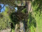 Foto img_2622_1785581585.jpeg