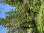 Foto img_2629_1787142319.jpeg