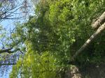 Foto img_2651_1787218054.jpeg