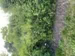 Foto img_2757_1785687903.jpeg
