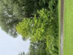 Foto img_2795_1785581366.jpeg