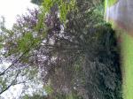 Foto img_2828_1785145032.jpeg