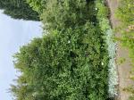 Foto img_2867_1787220501.jpeg