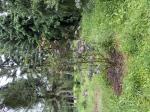 Foto img_2897_1787136572.jpeg
