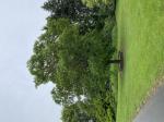 Foto img_2912_1787154993.jpeg