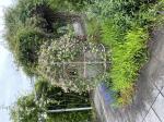 Foto img_2933_1784817590.jpeg