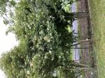 Foto img_2997_1787136764.jpeg