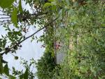 Foto img_3024_1787918069.jpeg