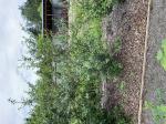 Foto img_3026_1787918090.jpeg