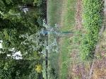 Foto img_3030_1787215596.jpeg