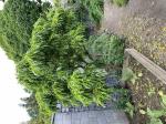 Foto img_3047_1786557783.jpeg