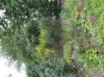 Foto img_3160_1787216178.jpeg