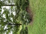 Foto img_3184_1787059180.jpeg