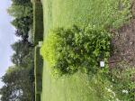 Foto img_3218_1785580568.jpeg