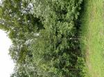 Foto img_3234_1787137614.jpeg