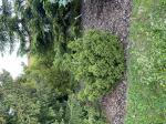 Foto img_3266_1785689841.jpeg