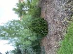 Foto img_3279_1786217392.jpeg