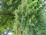 Foto img_3339_1787224903.jpeg