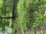 Foto img_3369_1787218825.jpeg