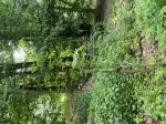 Foto img_3387_1787138672.jpeg