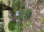Foto img_3393_1787217318.jpeg