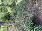 Foto img_3416_1784885669.jpeg