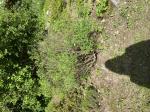 Foto img_3419_1785573054.jpeg