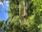 Foto img_3428_1782916717.jpeg