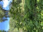 Foto img_3435_1782930436.jpeg