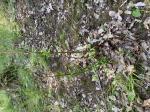 Foto img_3444_1785143040.jpeg