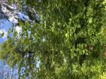 Foto img_3489_1785586043.jpeg
