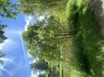 Foto img_3544_1787134980.jpeg
