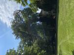 Foto img_3559_1785146508.jpeg