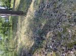 Foto img_3733_1785145949.jpeg