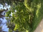 Foto img_3776_1784808553.jpeg