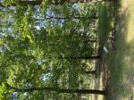 Foto img_3791_1785146250.jpeg