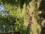 Foto img_3795_1784742987.jpeg