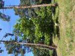Foto img_3807_1787046947.jpeg