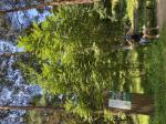 Foto img_3814_1784809234.jpeg