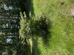 Foto img_3818_1787226380.jpeg
