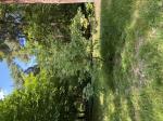 Foto img_3822_1785146378.jpeg