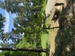 Foto img_3870_1785583671.jpeg